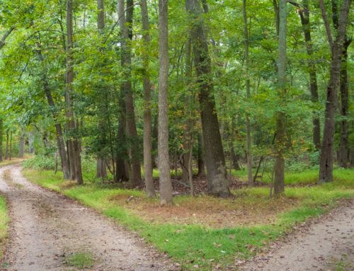 What Type of Fund, or Funds, is Right For You?